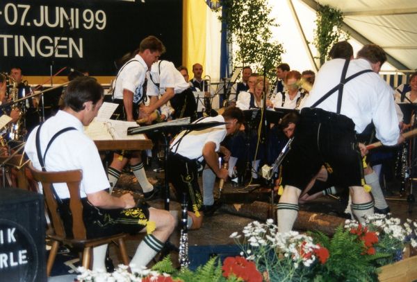 Die Steinheimer Musikanten